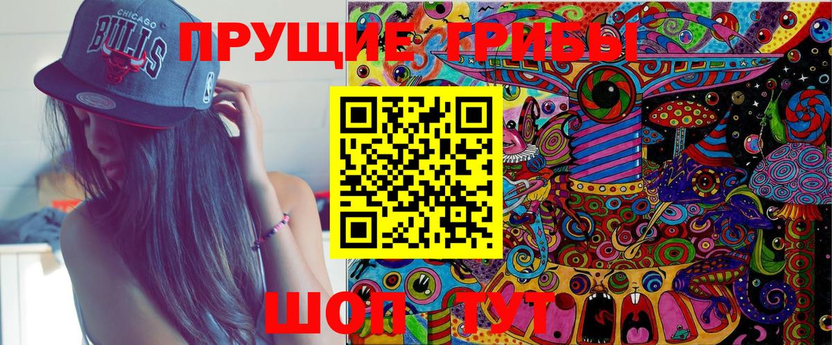 Псилоцибиновые грибы Cubensis Луга