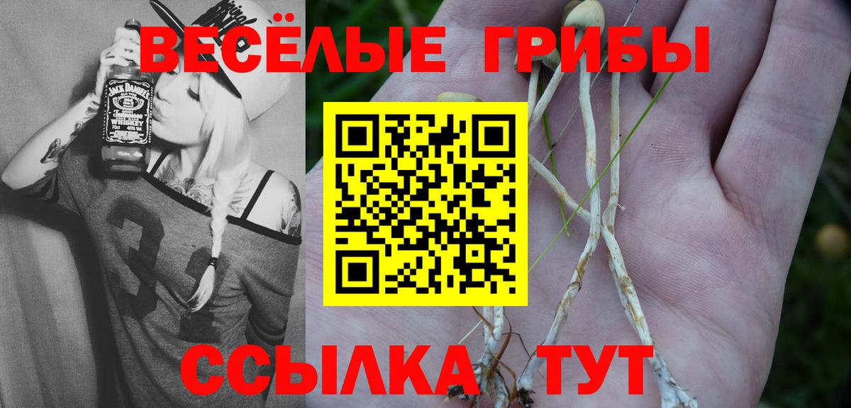 Луга  Галлюциногенные грибы MAGIC MUSHROOMS  Вход с VPN 